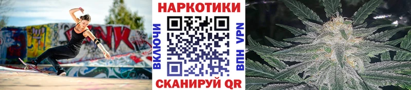 Альфа ПВП Берёзовка