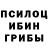Галлюциногенные грибы мицелий Sixty6