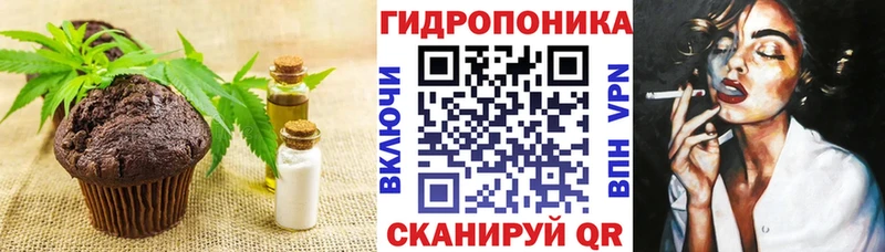 купить наркотик  Берёзовка  MEGA зеркало  Canna-Cookies марихуана 