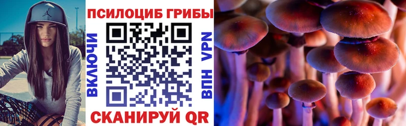 где купить наркотик  Берёзовка  Галлюциногенные грибы мицелий 
