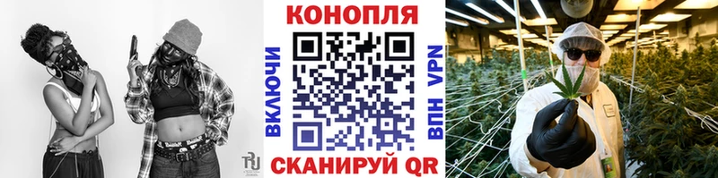 купить наркоту Берёзовка МАРИХУАНА Amnesia